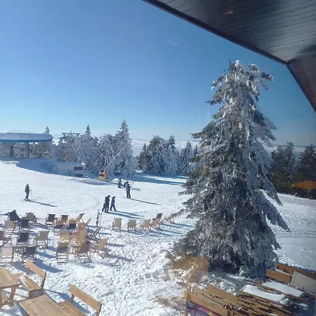 Carolija, Suncana Planina